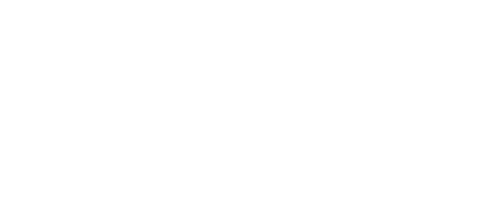 Fg Global